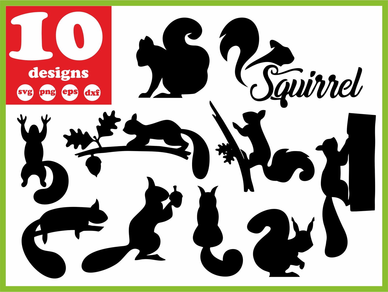 Squirrel Svg File Woodland Digital Download Silhouette Vector - Etsy