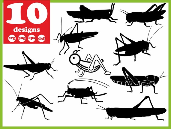 Download Clip Art Insect Cricut Grasshopper Vector Grasshopper Silhouette Svg Dxf Eps Png Jpg Grasshopper Clipart Bug Cut File Bug Svg Grasshopper Svg Art Collectibles