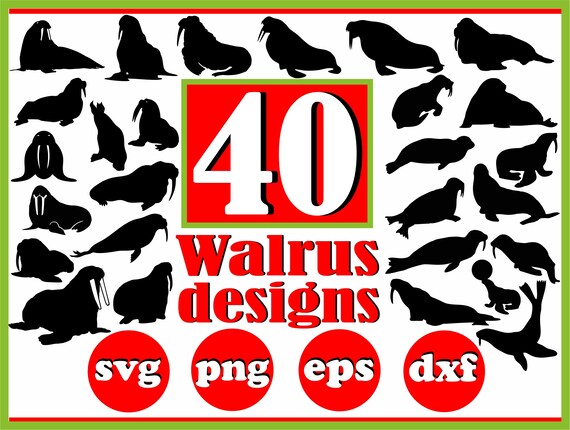 Download Walrus Svg Bundle Walrus Svg Walrus Clipart Walrus Cut Files For Silhouette Files For Cricut Walrus Vector Svg Dxf Png Eps Design