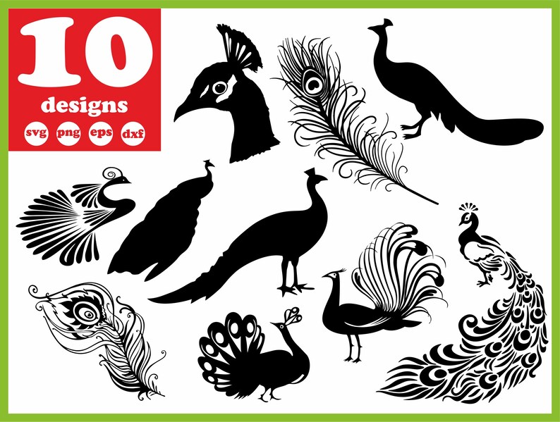 Download Peacock svg file Bird vector decal for cricut clipart bundle | Etsy