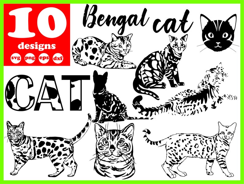 Download Bengal Cat svg file Wild Kitten digital Animal download ...