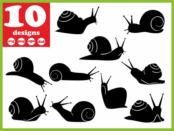 Snail Svg File Digital Download Silhouette Vector Decal For Etsy