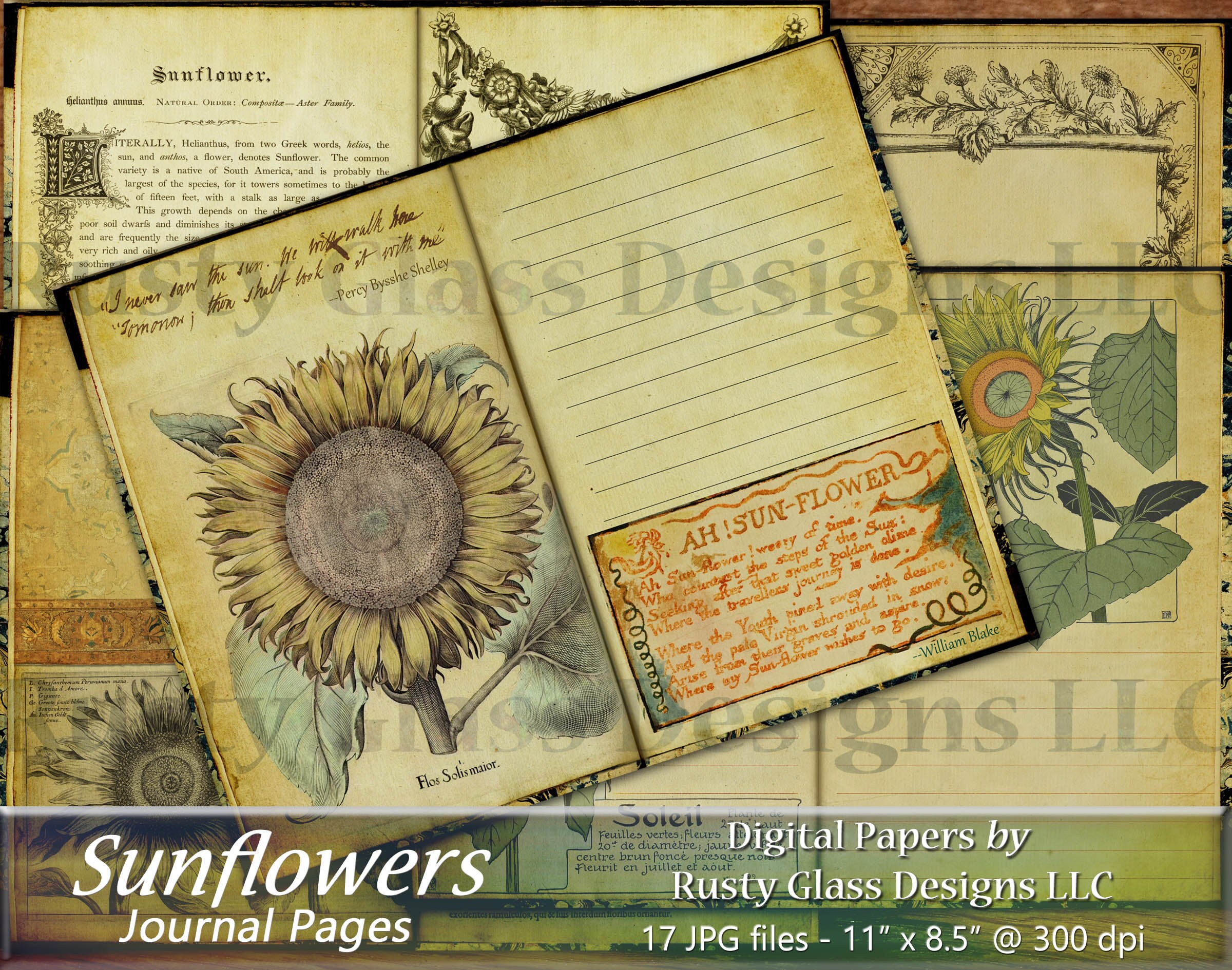 Sunflower Junk Journal Pages, Shabby Chic Printable Journal, Digital