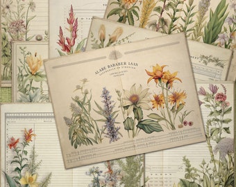 Botanical Ledger Pages Set 3 / Printable Ledger Junk Journal Paper / Botanical Junk Journal / Ledger Journal Paper / Junk Journal Pages