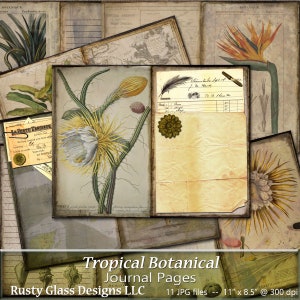 Tropical Botanical Junk Journal Pages, Printable Tropical Travel Journal, Grunge Botanical Junk Journal, antique digital ephemera, adventure