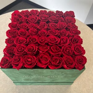 Dose of Roses Beverly Hills 49 Duftende ROTE Rosen -Grüne Box 10x 10x10