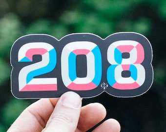 208 Blue & Pink Sticker
