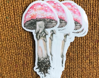 4 Mushroom Stickers