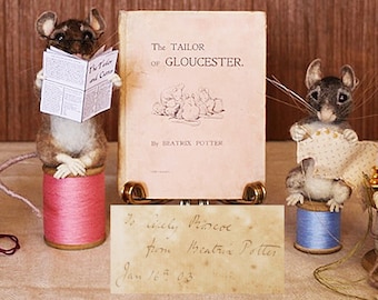 1902 Private Prinitng ‘The Tailor of Gloucester’ SIGNED by author Beatrix Potter. With unique Artistic display by ‘Books With Art’