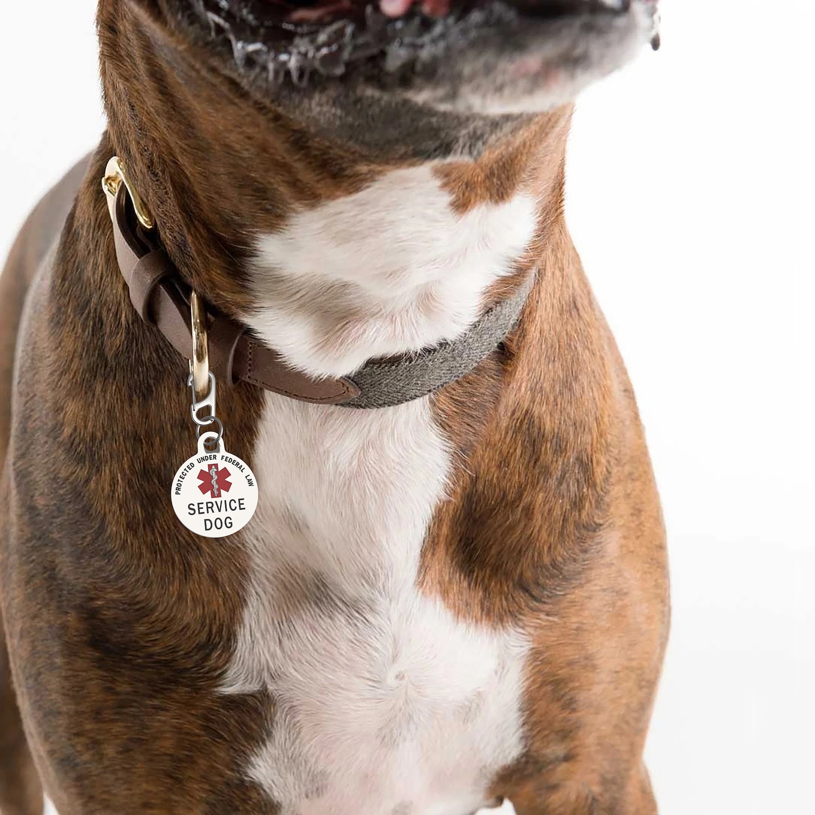 2 Pack Service Dog Tag Double Sided Federal Protection With Etsy