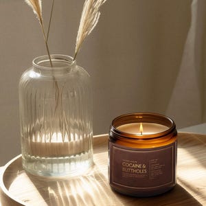 May include: A lit candle in a brown glass jar with a label that reads "COCAINE & BUTTHOLES" sits on a wooden tray. A clear glass vase with dried ornamental grass is to the left. The background is a neutral color.