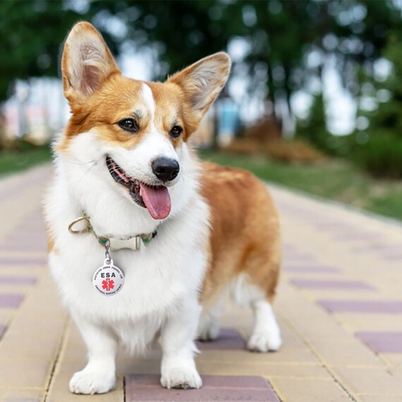 Are Good Emotional Support Pets