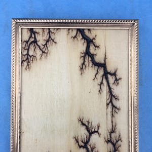 Framed Lichtenberg Art. Table stand on back.