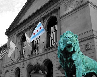 Chicago Art Institute Lion Print: Chicago Flag Photography