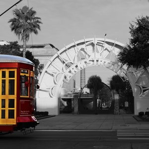 New Orleans Streetcar Print (5x7, 8x10, 11x14) - Armstrong Park - NOLA Photograph, NOLA Wall Art, Black and White Photography