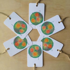Gift Tags Hakea x6