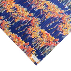 Kangaroo Paw  Flowers Wrapping Paper