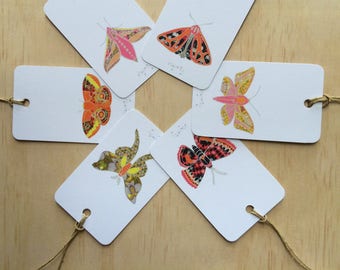 Étiquettes cadeaux Winter Moth x6