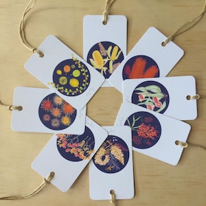 Gift Tags Botanicals Blue x8