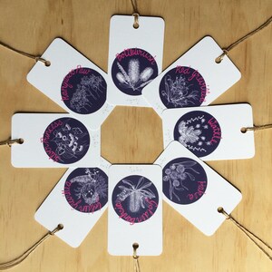 Mots-cadeaux Botaniques x8