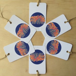 Gift Tags Kangaroo Paw x6