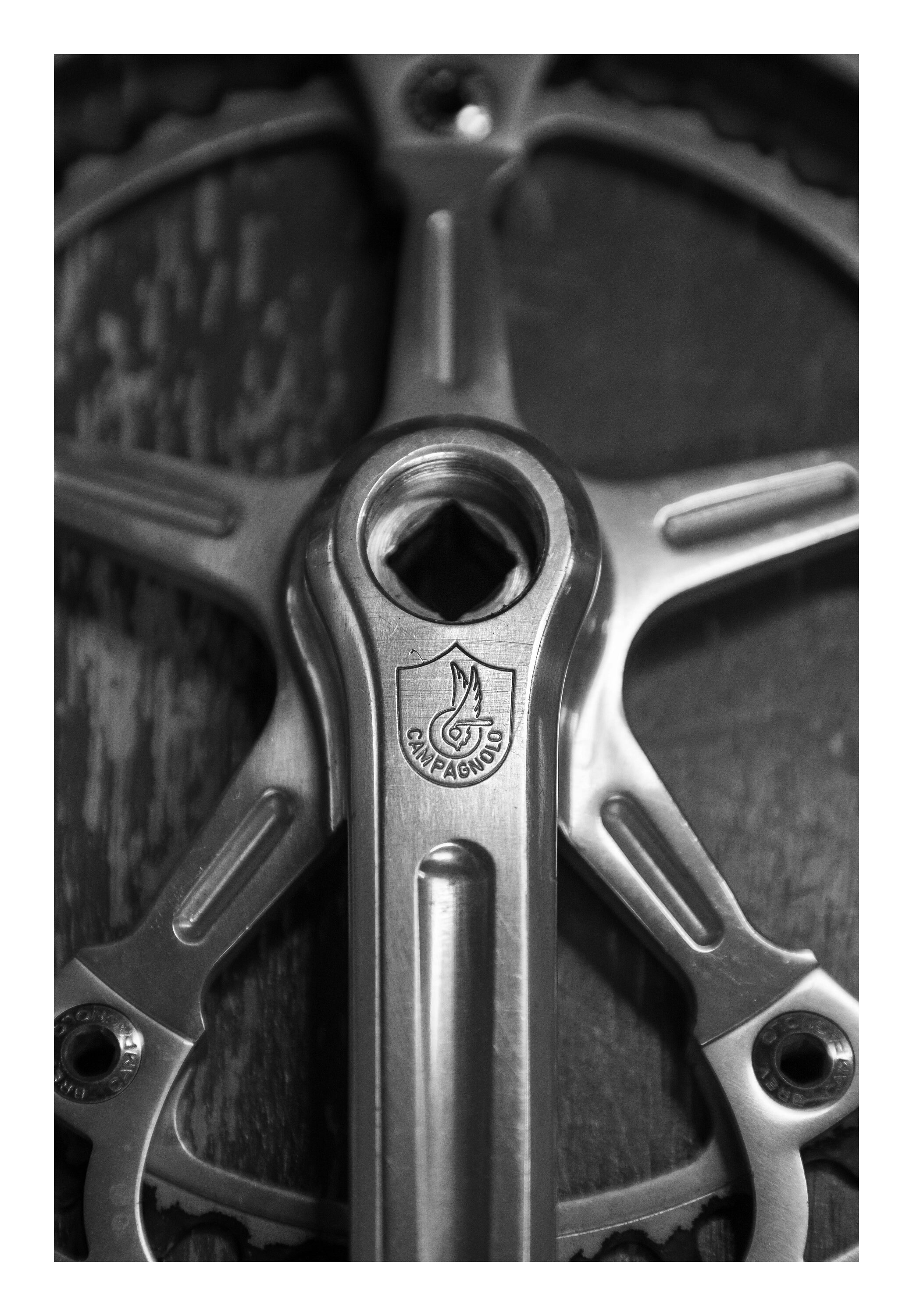 campagnolo silver vintage