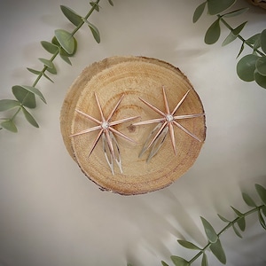 Hairpins, bridal hairpins, bridal hairpin, hairpin, star hairpins, star hairpin, star combs