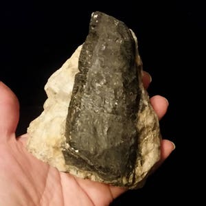 Schwarzer Turmalin Exemplar mit Glimmer schützende Stein Bild 1