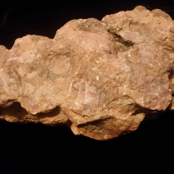 Large Petrified Dinosaur Poop-coprolite-fossil