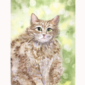 Fluffy cat painting Original watercolor on paper tabby cat portrait artwork signed