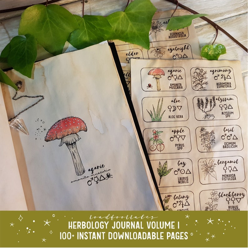 Herbology Volume 1 Journal and Workbook. Printable PDF Pages Etsy