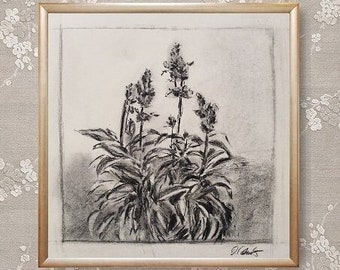 Drawing, Original, Charcoal Drawing, Salvia, Sage, Flower Drawing