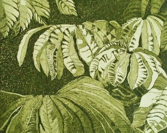 Leaves - Etching, Copperprint, Art, Print, Nature, Forest, Leaves, Original Print