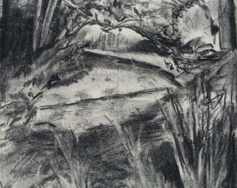 Drawing, Original, Charcoal Drawing, on the shore in the park