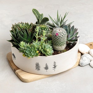 Multi Succulent Handmade Indoor Ceramic Planter, Housewarming / Birthday Gift, Unique Succulents Planter Pot image 2