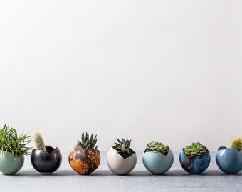 Small Ceramic Planters for Succulents | 7 Color Options to Choose