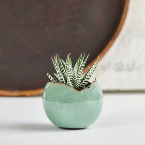 May include: A small green ceramic pot with a white speckled glaze, shaped like an egg, with a small succulent plant growing inside.