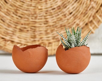Set of TWO 2 Medium Terracotta Red-Brown Ceramic Egg-Shaped Planter Pot