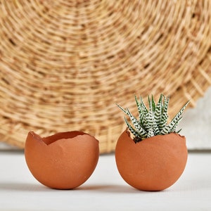 Set of TWO 2 Medium Terracotta Red-Brown Ceramic Egg-Shaped Planter Pot image 1