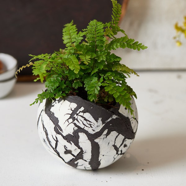 Large Black and White Ceramic Planter for Succulent or Flowers, Round Decorative Boho Chic Vase, Planter Pot for Living Room
