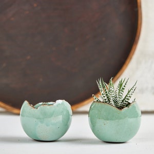 Op de afbeelding: Twee kleine, ronde, lichtblauwe keramische plantenbakken met een ruwe, getextureerde rand. Eén plantenbak bevat een kleine vetplant met groen-wit gestreepte bladeren. De plantenbakken staan op een wit oppervlak, met een donkerbruin houten dienblad op de achtergrond.