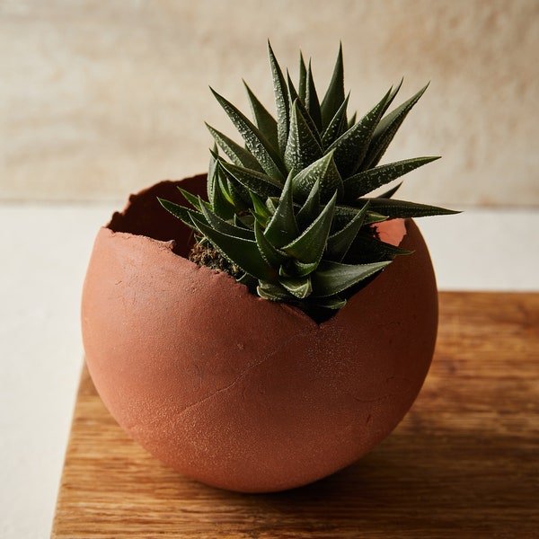 Grand cache-pot en céramique terre cuite pour intérieur, jardinière succulente, pot en forme d'oeuf, jardinière ronde en poterie moderne rustique pour cactus