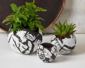 Round Unique Set of 3 Planter Pots, Black and White Ceramic Decorative Indoor or Outdoor Planters