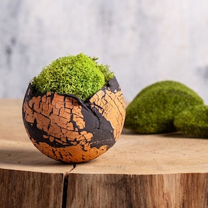 May include: A small, round, cracked planter with a black and orange finish. The planter is filled with green moss and sits on a wooden surface.