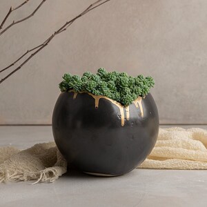 May include: A black ceramic planter with gold accents, shaped like an egg, filled with green succulents. The planter is sitting on a beige fabric surface.