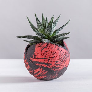 Medium Red and Black Ceramic Planter for Succulent