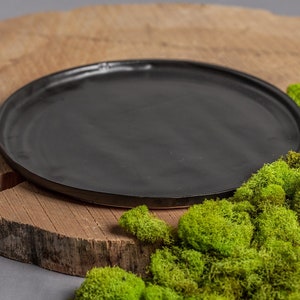 Set of 6 Black Ceramic Plates, Flat Dinner Plates With Tree Decals