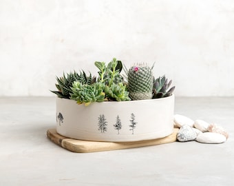 Multi Succulent Handmade Indoor Ceramic Planter, Housewarming / Birthday Gift, Unique Succulents Planter Pot