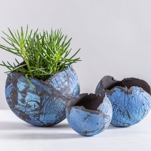 Pode incluir: Três vasos de cerâmica azul e preto com um esmalte craquelado. O vaso maior tem uma pequena planta suculenta verde crescendo dentro.