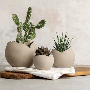 Set of 3 Concrete Gray Rustic Handmade Eclectic Ceramic Planter Pot, Unique Modern Bohemian Home Decor, Indoor Decorative Planters Set image 1